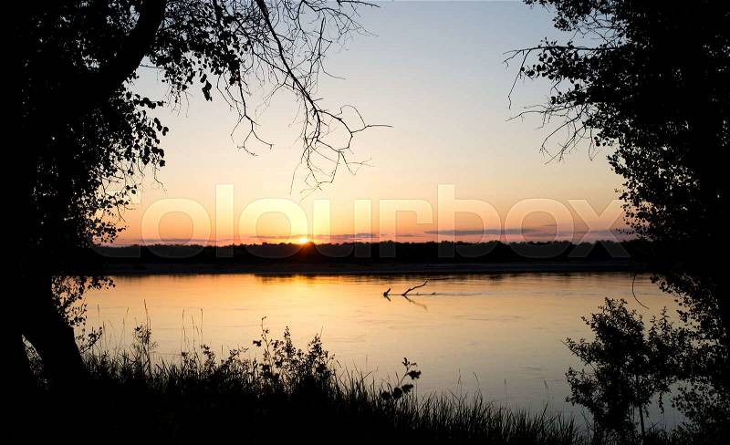 Tree silhouette on the river on a sunset background, stock photo