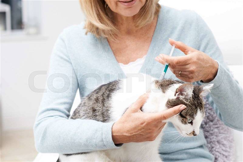 Woman Applying Tick And Flea Treatment To Pet Cat, stock photo