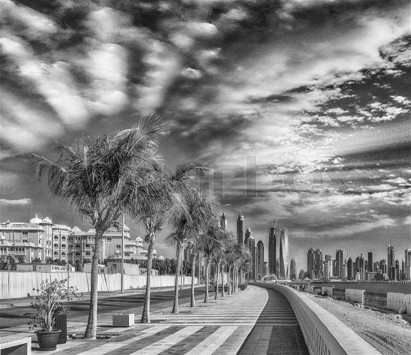 Buildings over the water in Dubai Marina, United Arab Emirates, stock photo