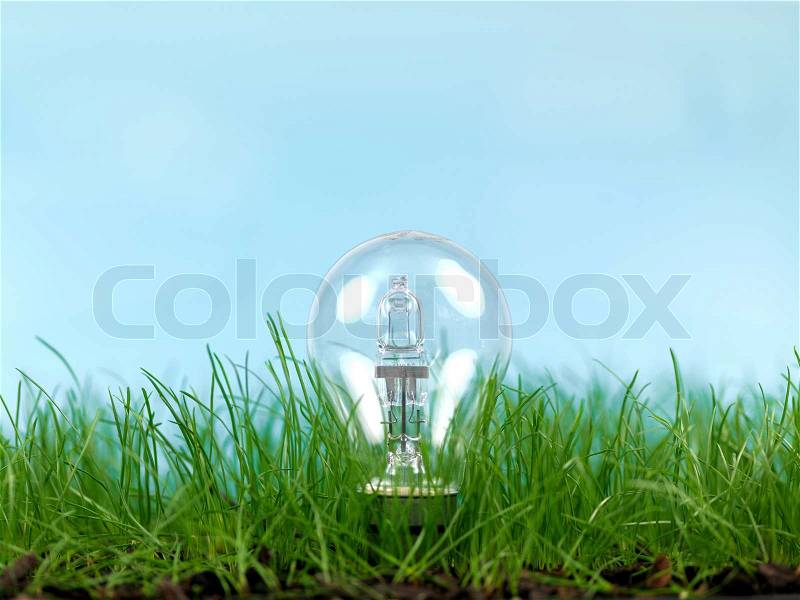 Green grass and a light bulb isolated against a blue sky, stock photo