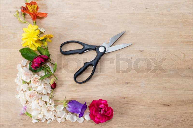 One angle frame made of different flowers with florist scissors on wooden background, stock photo