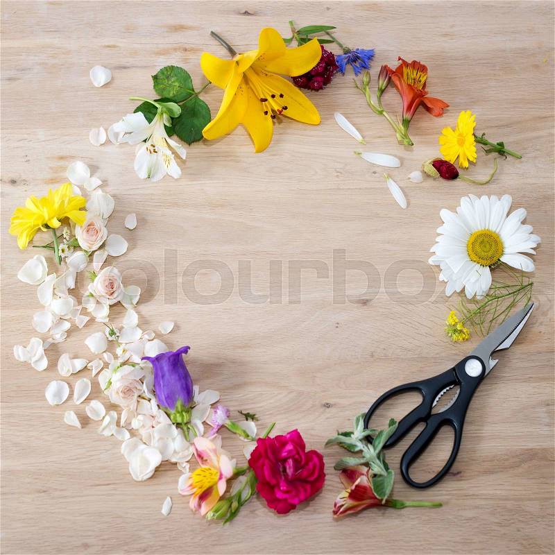 Round frame made of different flowers with florist scissors on wooden background. Flat lay, stock photo