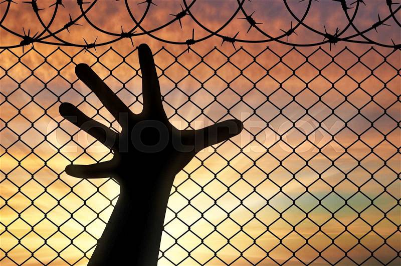 Concept of refugees. Silhouette hands refugee near the fence of barbed wire, stock photo