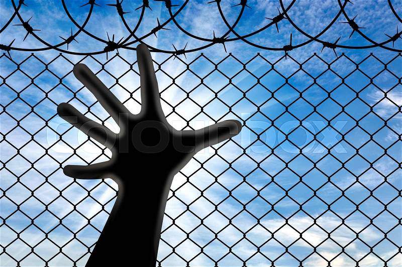 Concept of refugees. Silhouette hands refugee near the fence of barbed wire, stock photo
