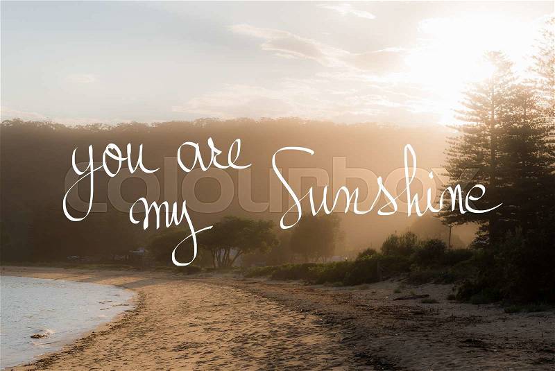 You Are My Sunshine message. Handwritten motivational text over sunset calm sunny beach background with vintage filter applied, stock photo