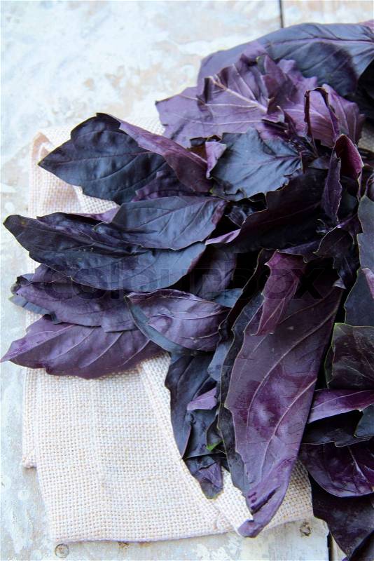 Red purple basil on a wooden table, stock photo