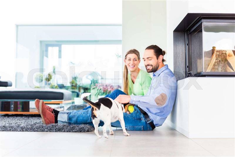 Couple sitting in living room floor playing with dog, stock photo