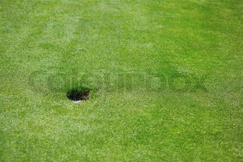 Golf hole on the green field, stock photo