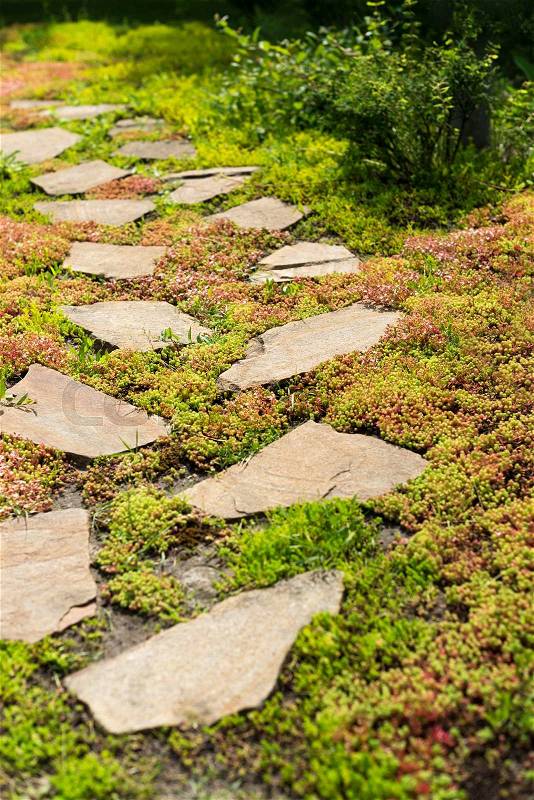 Stone walkway on green grass in the garden, stock photo