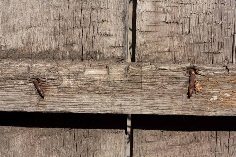 Rusty nails in wood, stock photo