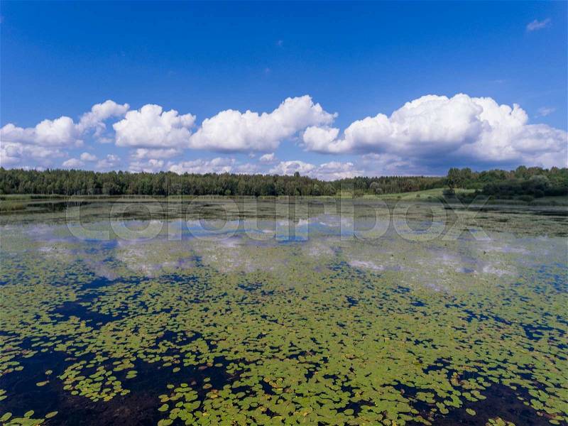 Summer time lake and green forest, white clouds over blue sky in Poland lanscape, stock photo