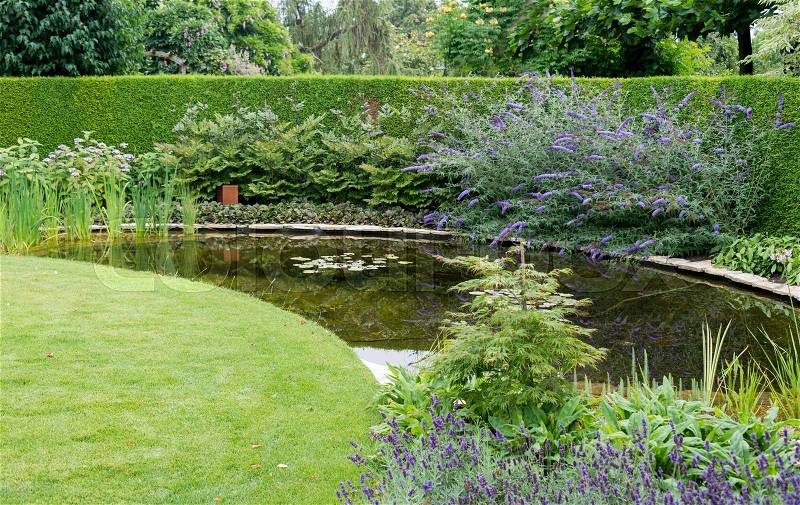 English garden with green grass near a small water and plants flowers like buddleja , stock photo