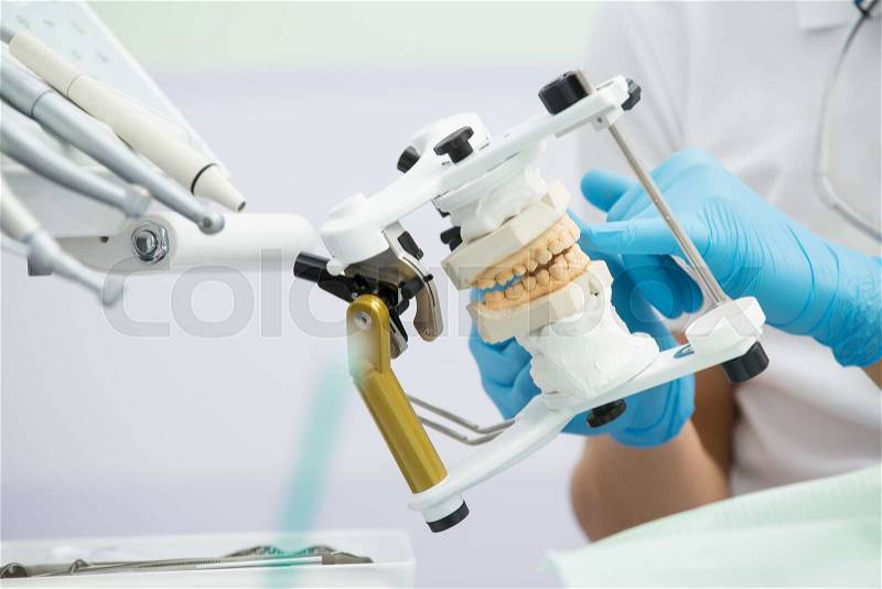 Hands in blue gloves that holds an articulator with teeth mould. Horizontal, stock photo