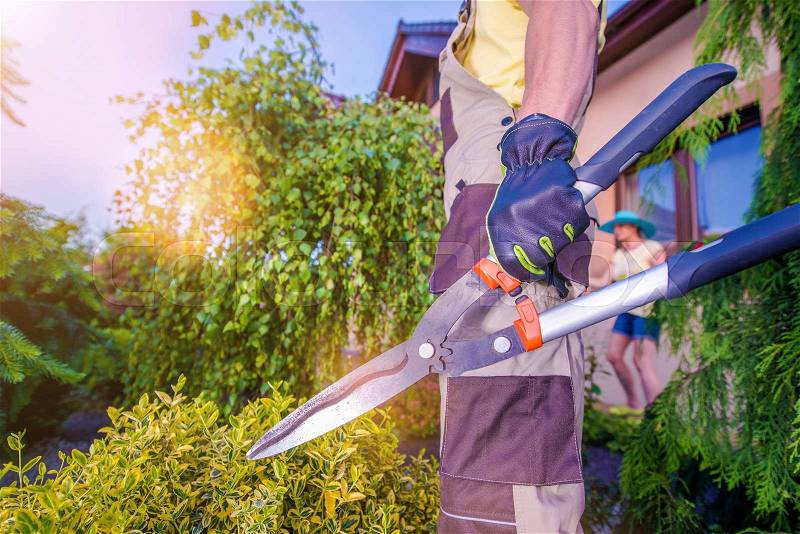 Professional Gardener with Large Scissors Preparing For Garden Work, stock photo