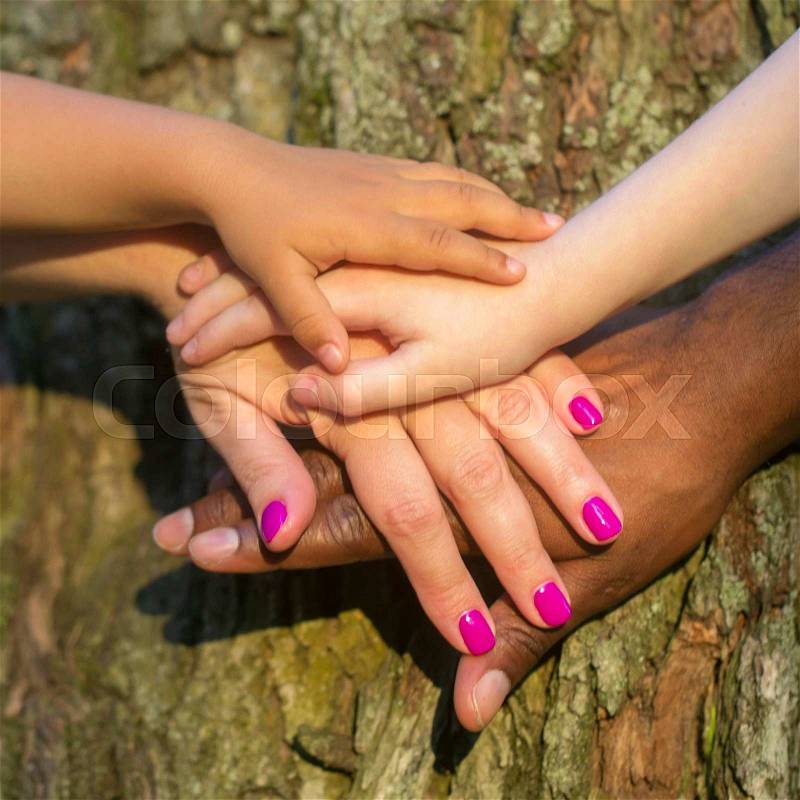 Mixed family concept. Four hands of the mixed race family on the tree bark - baby, child, mother and father at sunset light. Selective focus on the baby\'s hand, stock photo