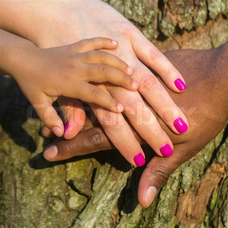 Mixed family concept. Three hands of the mixed race family on the tree bark - baby, mother and father at sunset light, stock photo