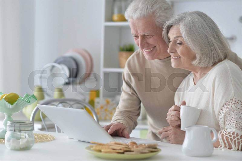 Senior couple portrait with laptop at home, stock photo