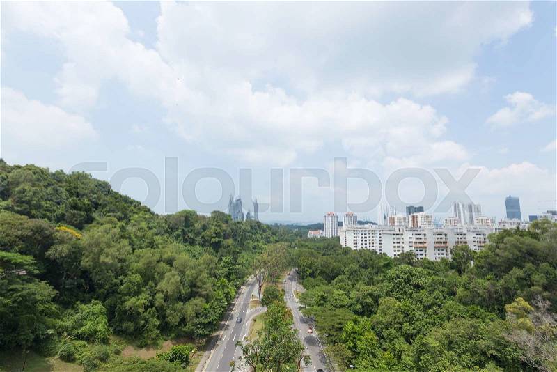 Road Park in Singapore. Road route into town There is a shady tree, stock photo