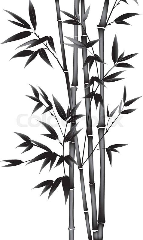 Ink paint bamboo bush. Card with black bamboo plants isolated on white