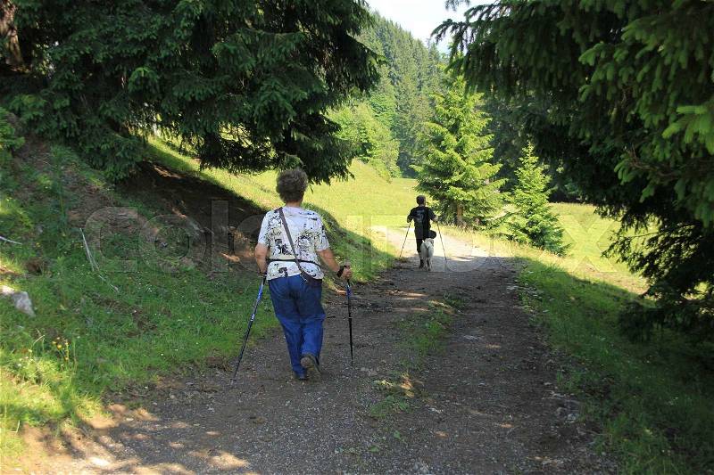 Couple, man and wife with walking sticks are hiking with his dog in the mountains in the neighbourhood of the village Brixen im Thale in Austria in the summer, stock photo