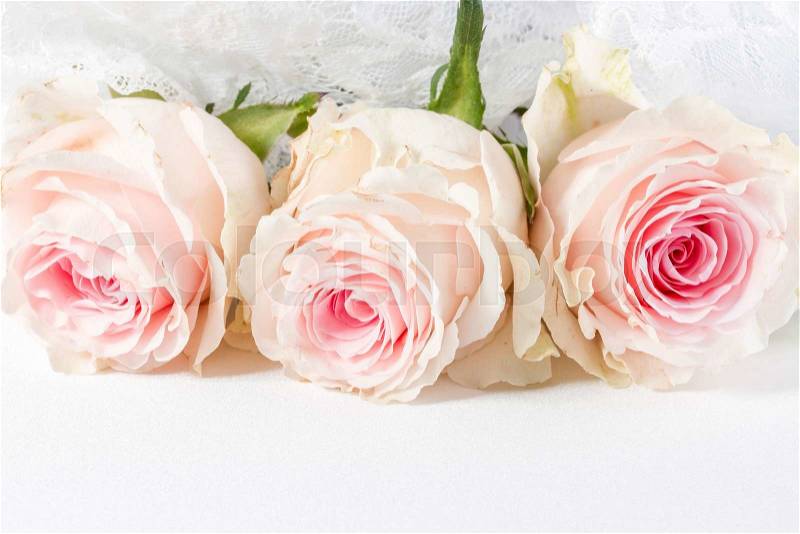Wedding background with roses and lace, stock photo