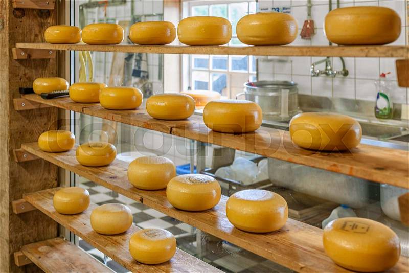 Small rounds of yellow hard cheese on wooden shelfs in Zaanse Schans, Netherlands, stock photo