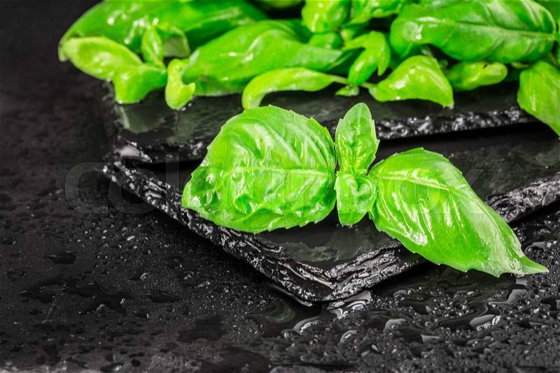 Fresh basil leaves on a black slate backgound, stock photo