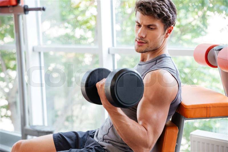 Concentrated young sportsman doing exercises for biceps using dumbbells in jym, stock photo