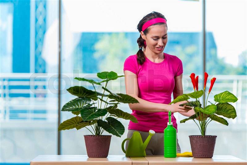 Young woman taking care of home plants, stock photo