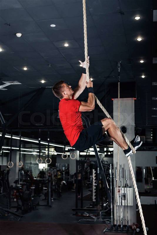 Fitness rope climb cxercise In crossfit gym, stock photo