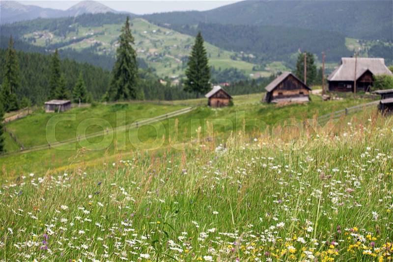 Blurred wooden houses on hills at the mountains Focus on a grass at foreground , stock photo