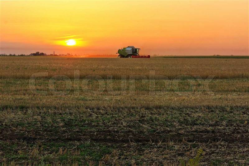 Working harvester on sunset, stock photo