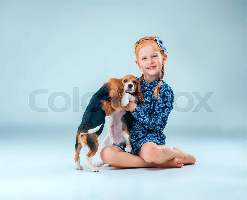 The happy girl and the two beagle puppie on gray background, stock photo
