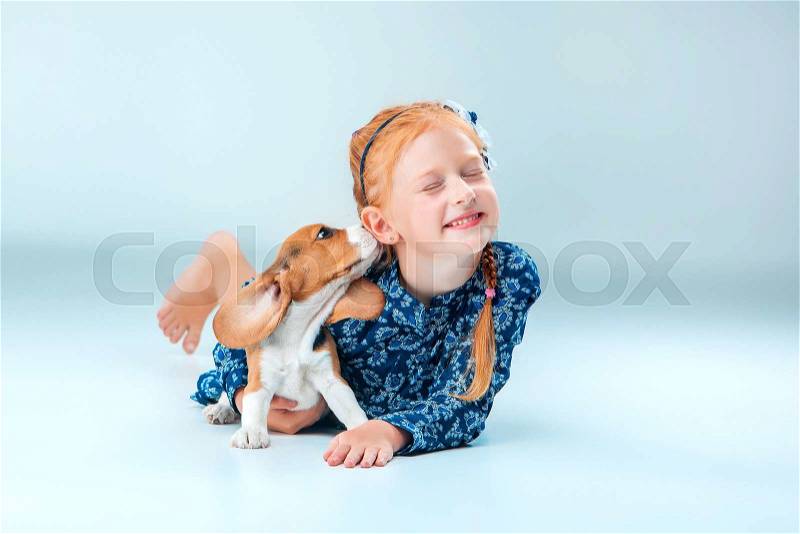 The happy girl and a beagle puppie on gray background, stock photo