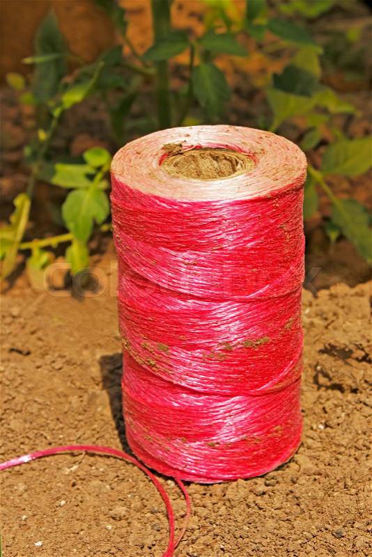 Coil with synthetic pink thread on the soil. Thread tie various cultivated plants, stock photo
