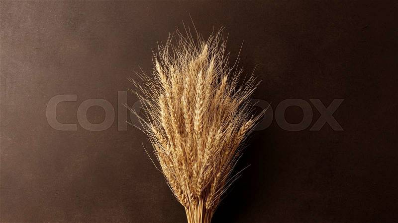 Wheat on black background. top view, stock photo