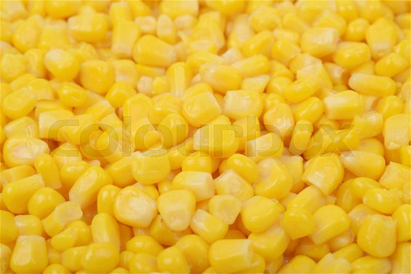 Surface coated with the canned corn as a cooking backdrop, shallow depth of field composition, stock photo