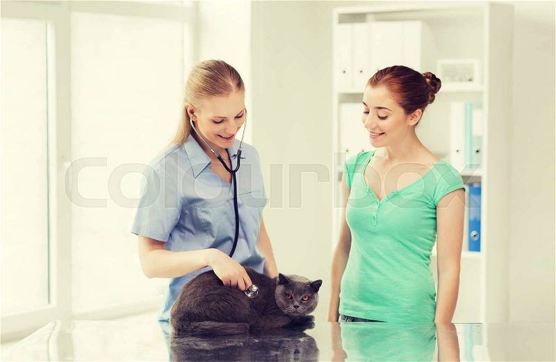 Medicine, pet, animals, health care and people concept - happy woman and veterinarian doctor with stethoscope checking british cat up at vet clinic, stock photo