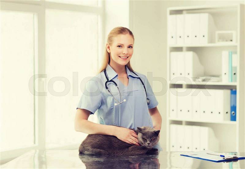 Medicine, pet, animals, health care and people concept - happy doctor or veterinarian with stethoscope checking british cat up at vet clinic, stock photo