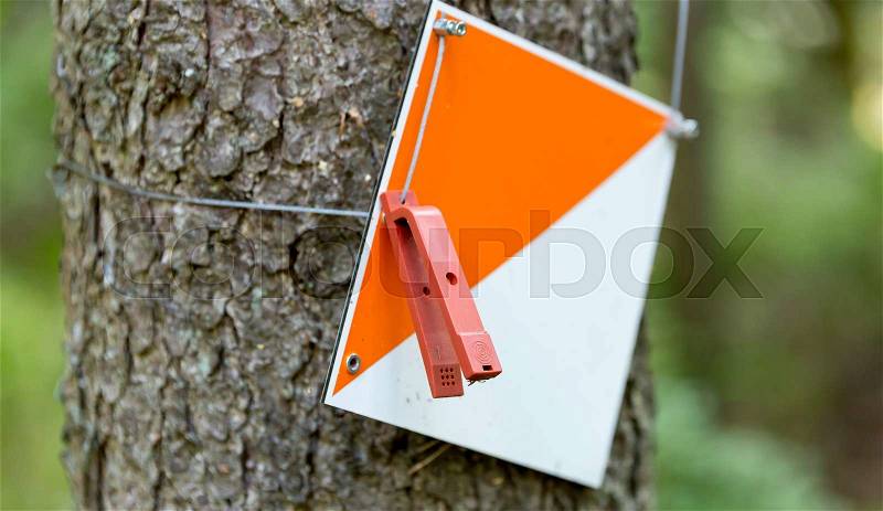 Orienteering Control Point on tree stem, stock photo