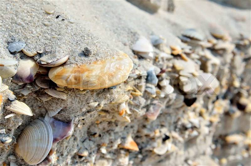 Mound of shells, stones and sand on the seashore, stock photo