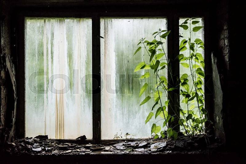 Window with debris in abandoned school in Pripyat, Chernobyl, Ukraine, stock photo