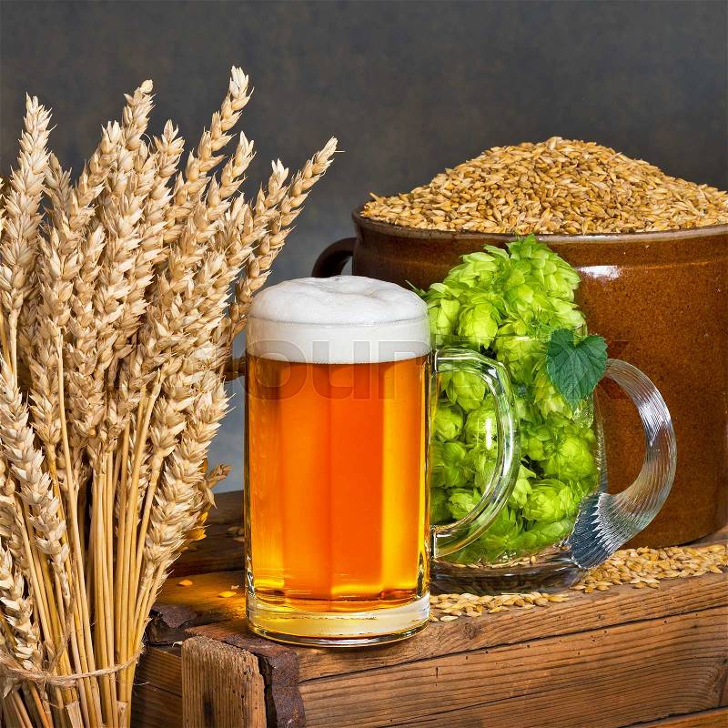Glass of beer with raw material for beer production, stock photo