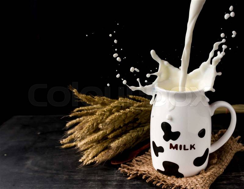 Pouring milk in the glass with cow camouflage on dark wood, stock photo