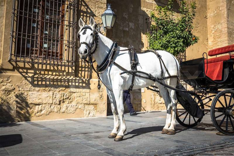 Traditional Horse and Cart at Cordoba Spain - travel background, stock photo