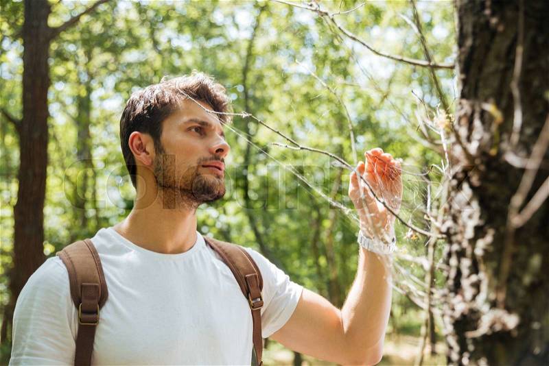 Serious young man standing and looking at spider web in forest, stock photo