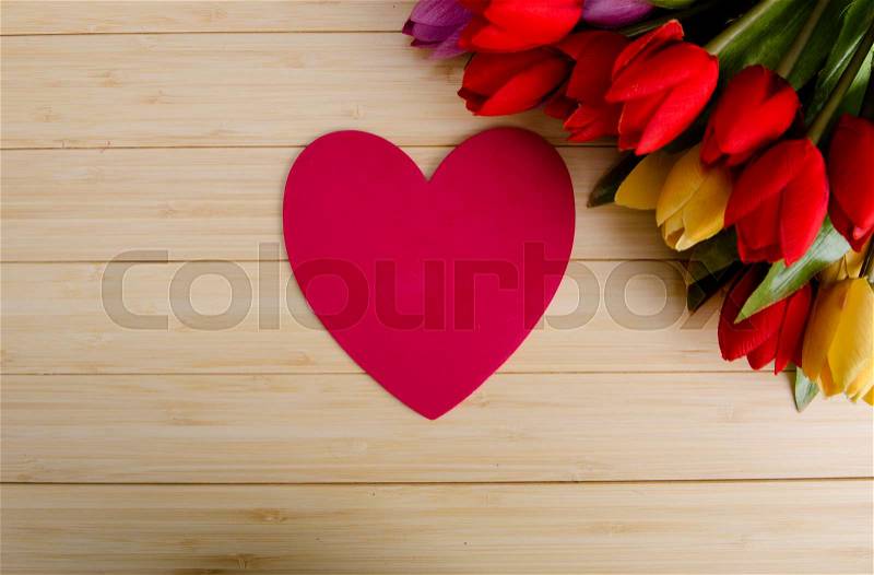 The tulips flowers arranged with copyspace for your text, stock photo
