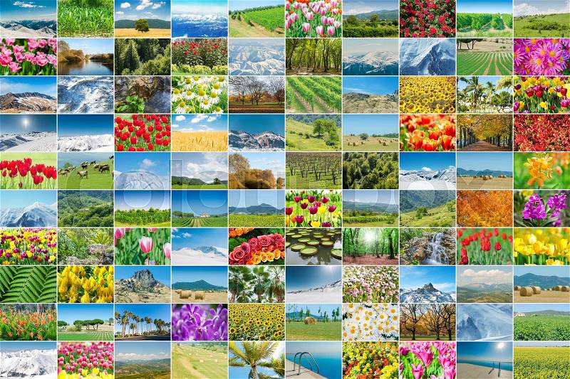 The collage of many nature photos, stock photo
