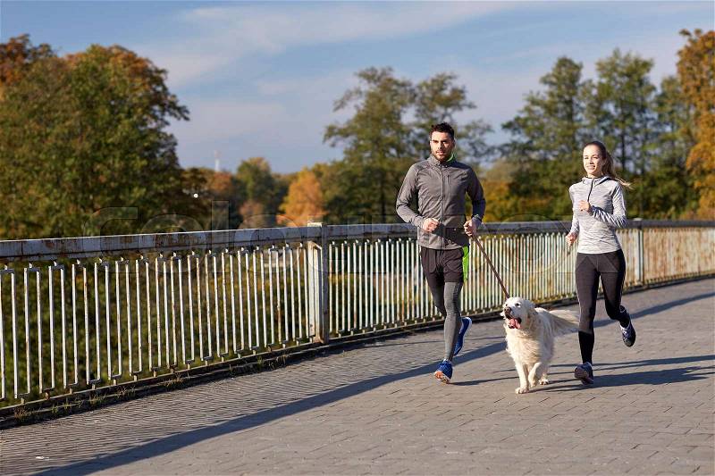 Fitness, sport, people and lifestyle concept - happy couple with dog running outdoors, stock photo