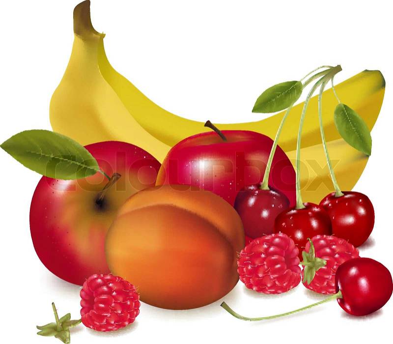 clipart of different fruits - photo #6